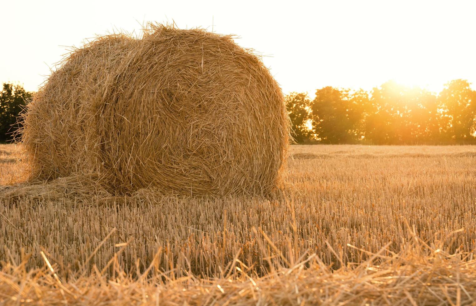 ein Strohballen in einem Bauernhoffeld während des Sonnenuntergangs foto