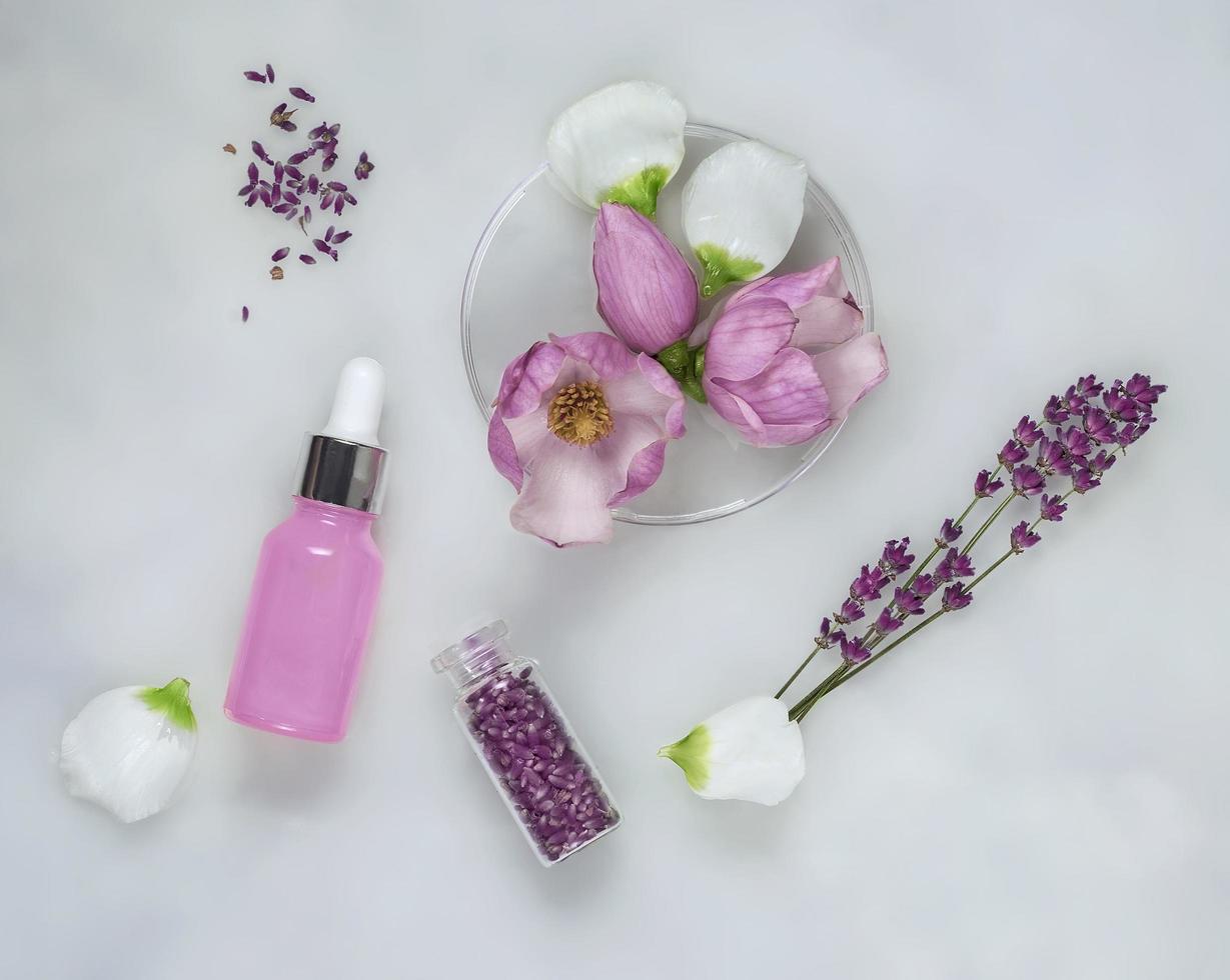 kosmetischer Hautpflegehintergrund von Petrischalen und Kosmetiktuben der Kräutermedizin mit grünen Blättern und Blütenblättern foto
