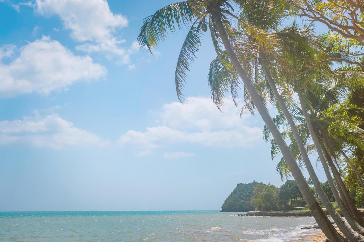 tropischer Strand in der Sommersaison mit einem blauen Himmelhintergrund foto