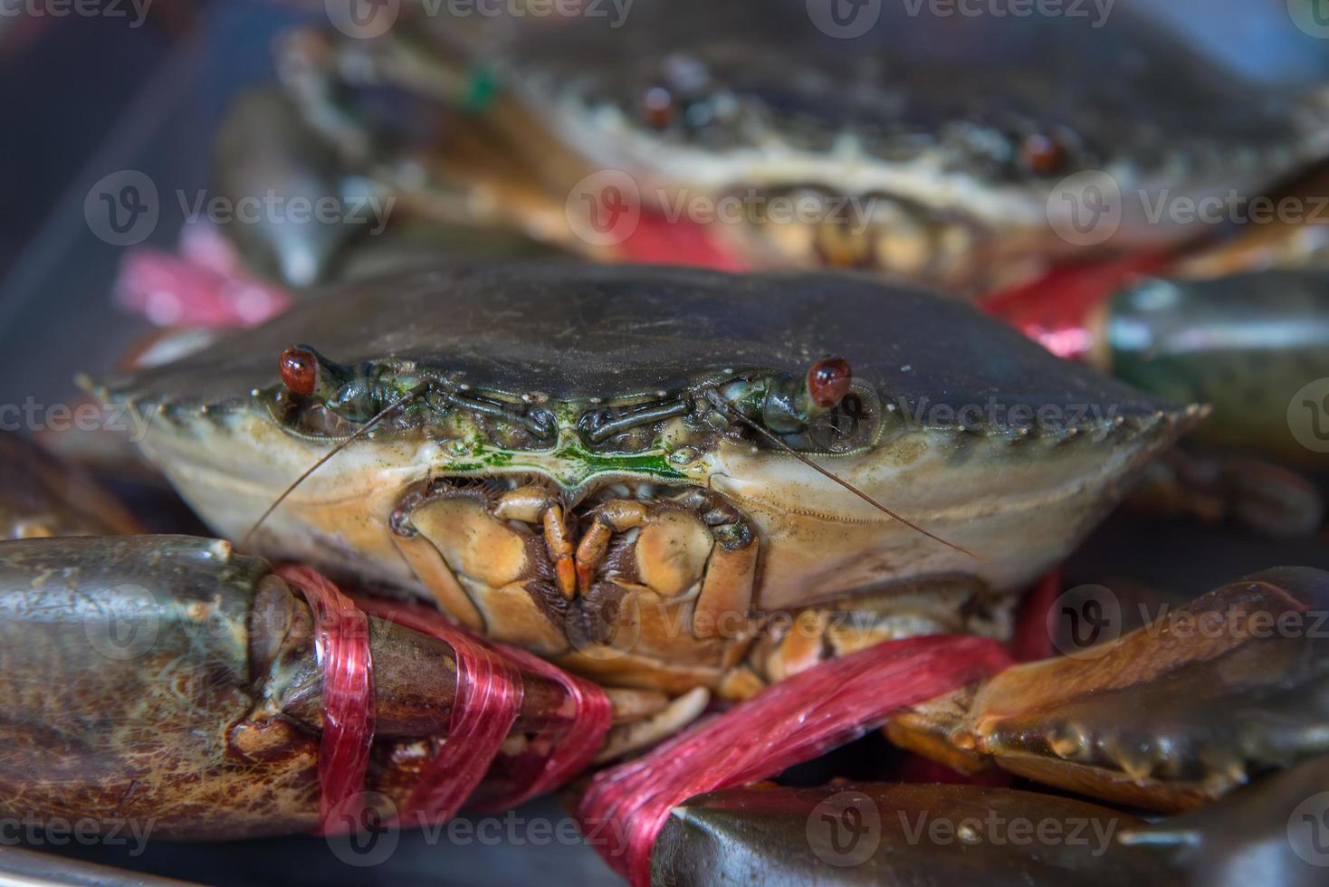 am Leben Krabben bereit zu Sein gekocht beim Markt foto