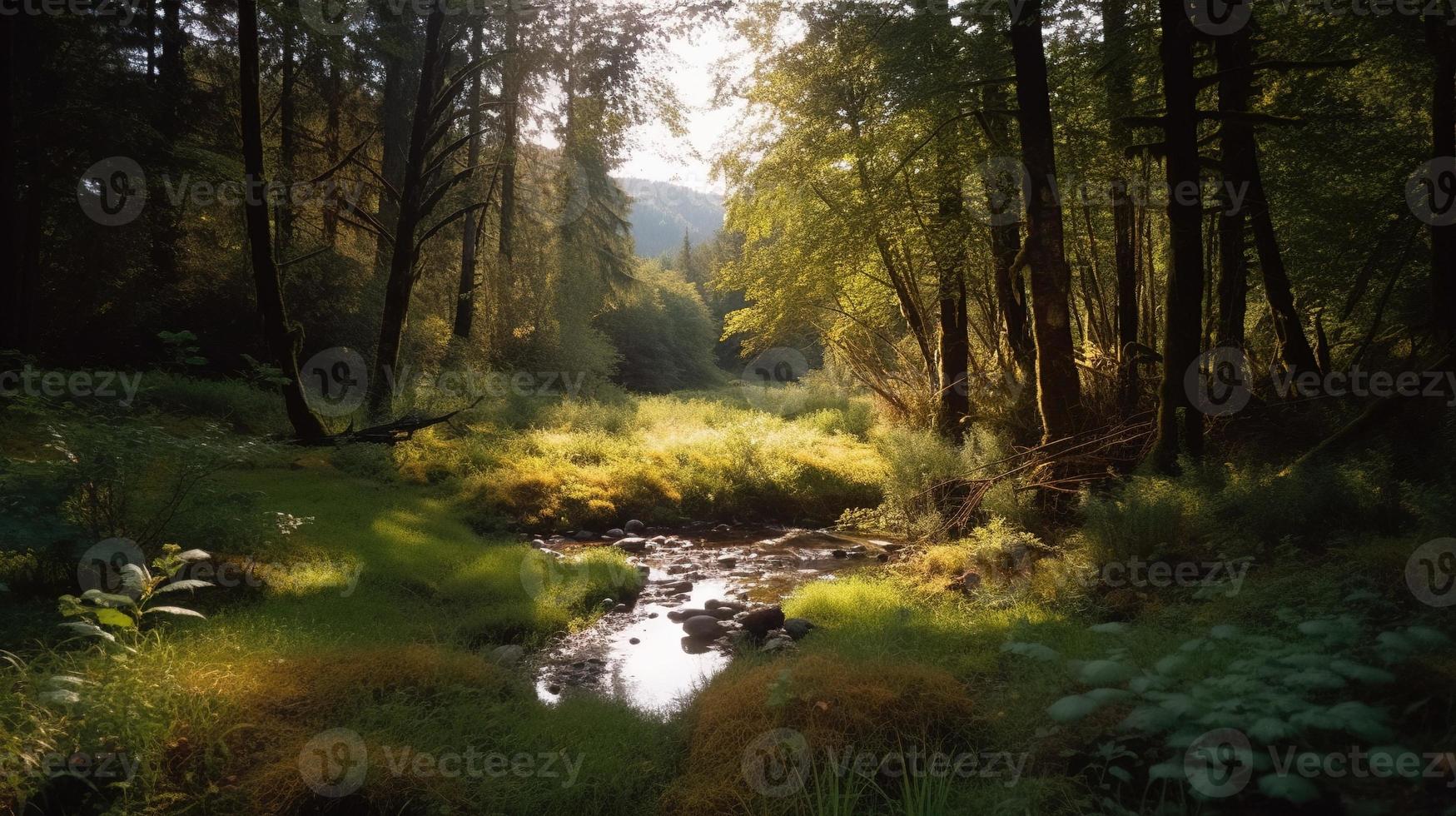 ein friedlich Wald Clearing gebadet im warm Sonnenlicht, umgeben durch hoch Bäume und üppig Laub, mit ein sanft Strom rieseln durch das Unterholz und ein entfernt Berg Angebot sichtbar foto