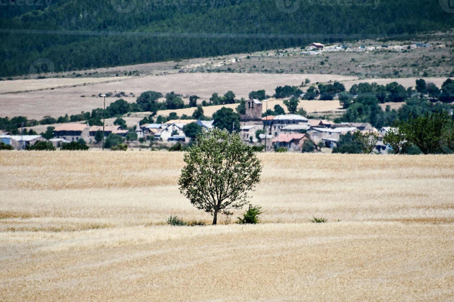 szenisch ländlich Landschaft foto