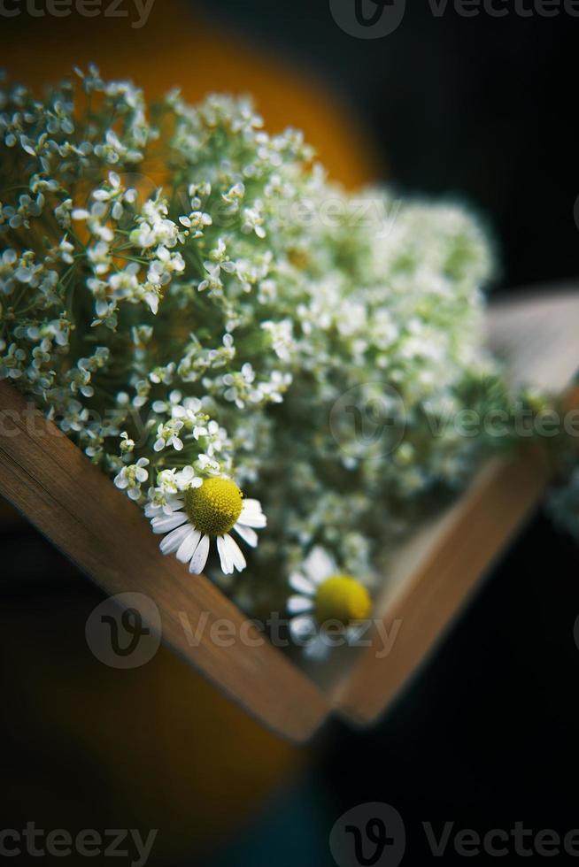 Nahaufnahme des offenen Buches mit Wildblumen foto