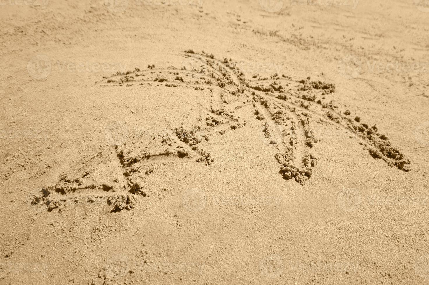 Palme Baum Zeichnung im Sand foto