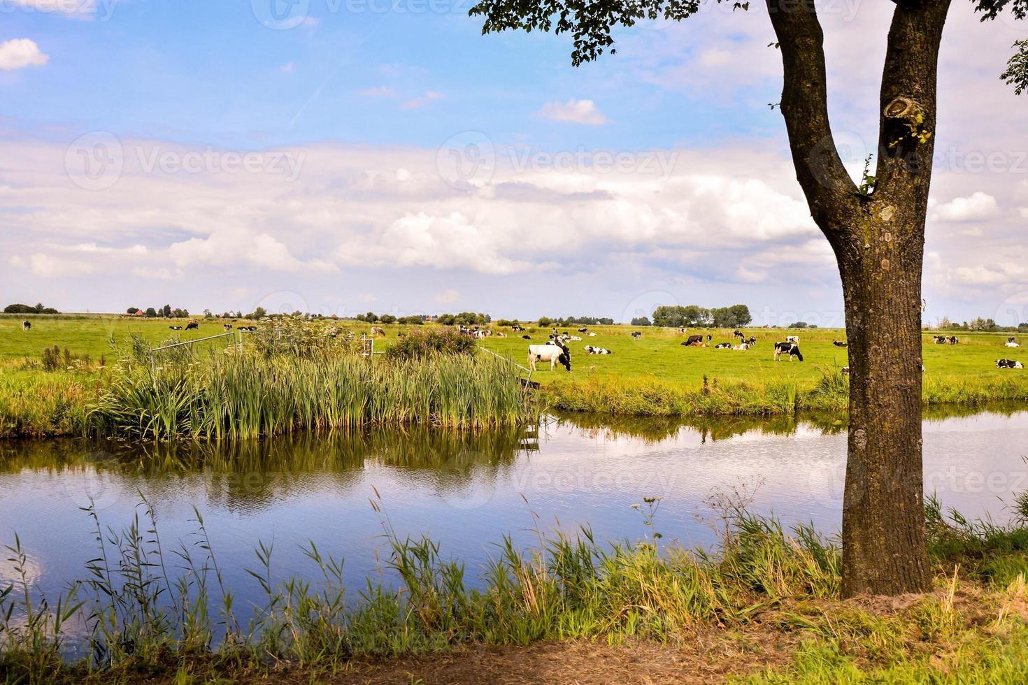 szenisch ländlich Landschaft foto