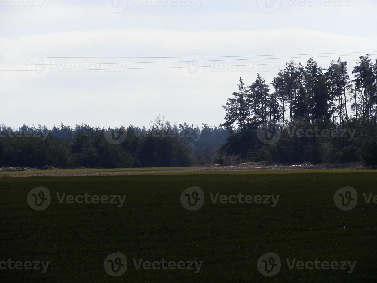 Panorama von ein gesät Feld im das Dorf foto