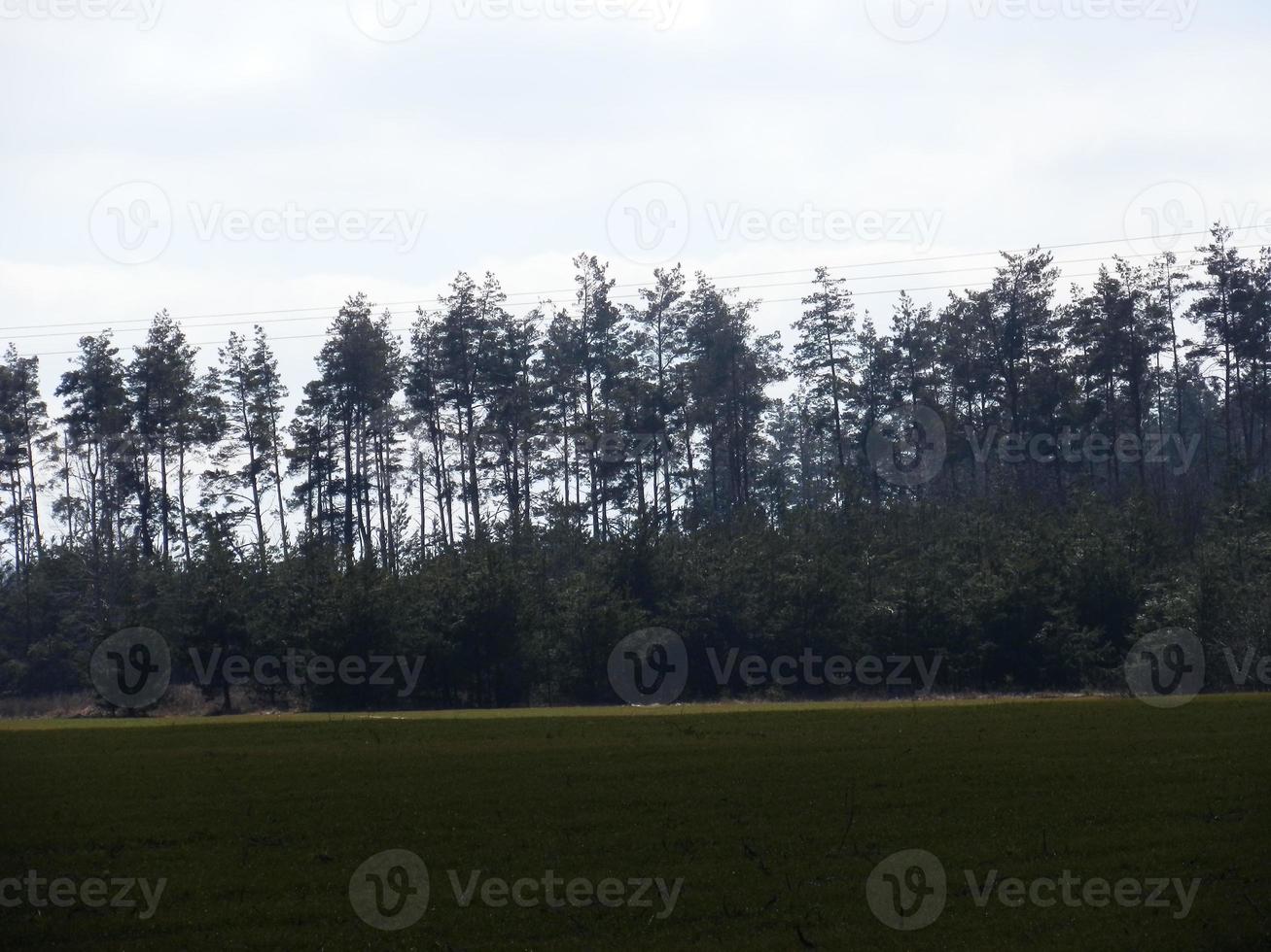 Panorama von ein gesät Feld im das Dorf foto