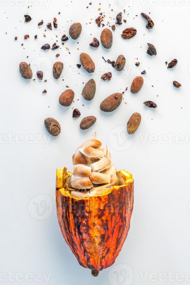 frische Kakaofrucht und Bohnen lokalisiert auf weißem Hintergrund foto