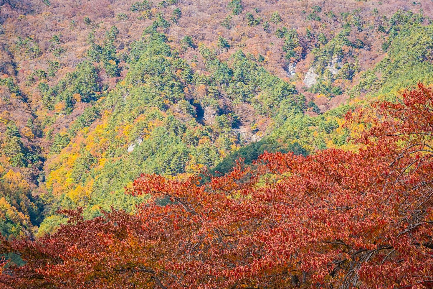 schöner Berg in der Herbstsaison foto