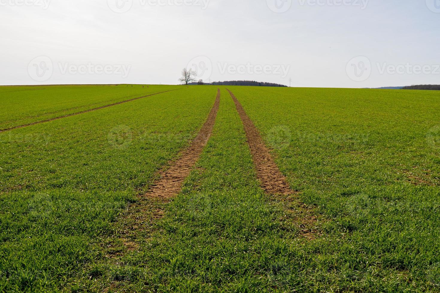 sonnig Landschaft Feld ländlich draussen Abenteuer Bild foto