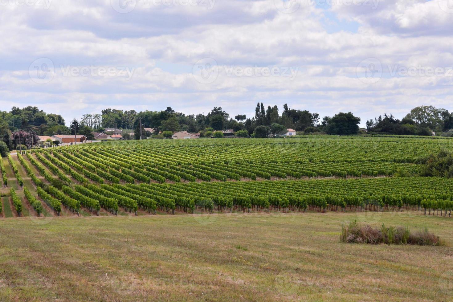 szenisch ländlich Landschaft foto