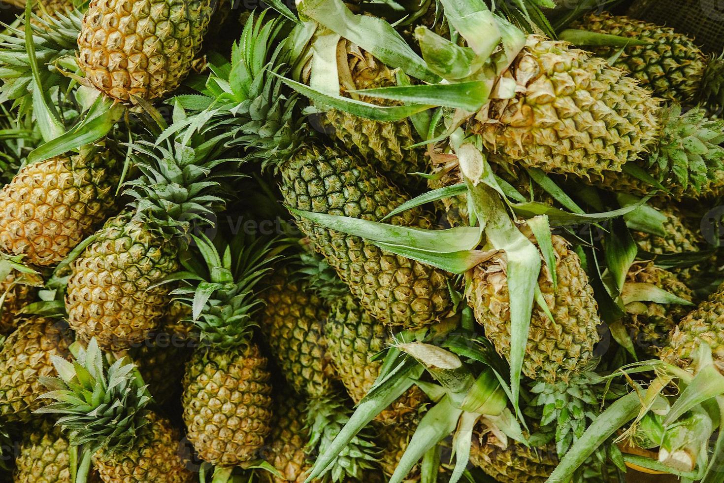 ein beschwingt Grün Ananas scheint von ein sri Lanka Markt, frisch und bereit zum gesund Essen. foto