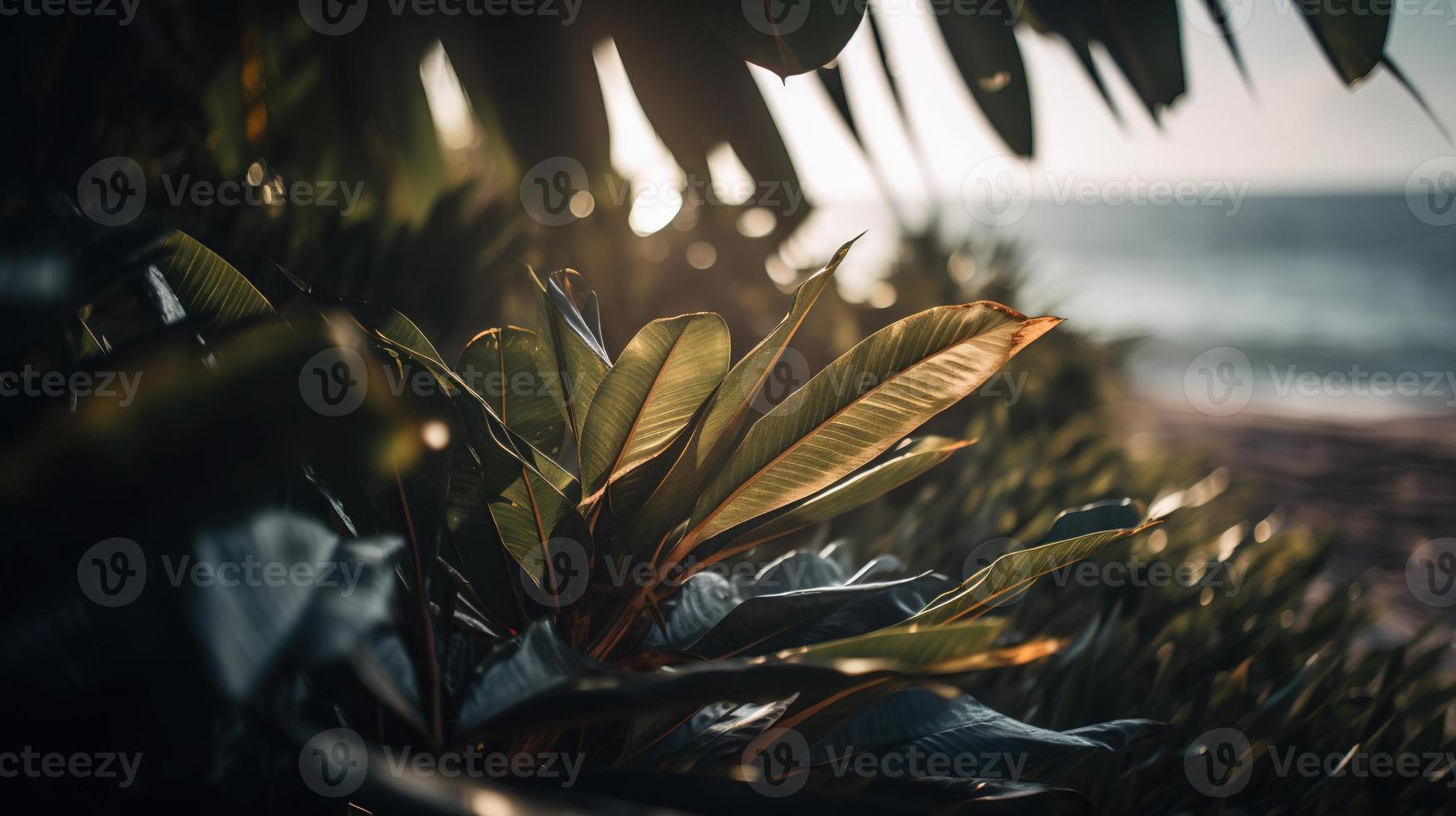 tropisch Strand mit Palme Bäume und Sand Dünen beim Sonnenuntergang, blau Meer foto