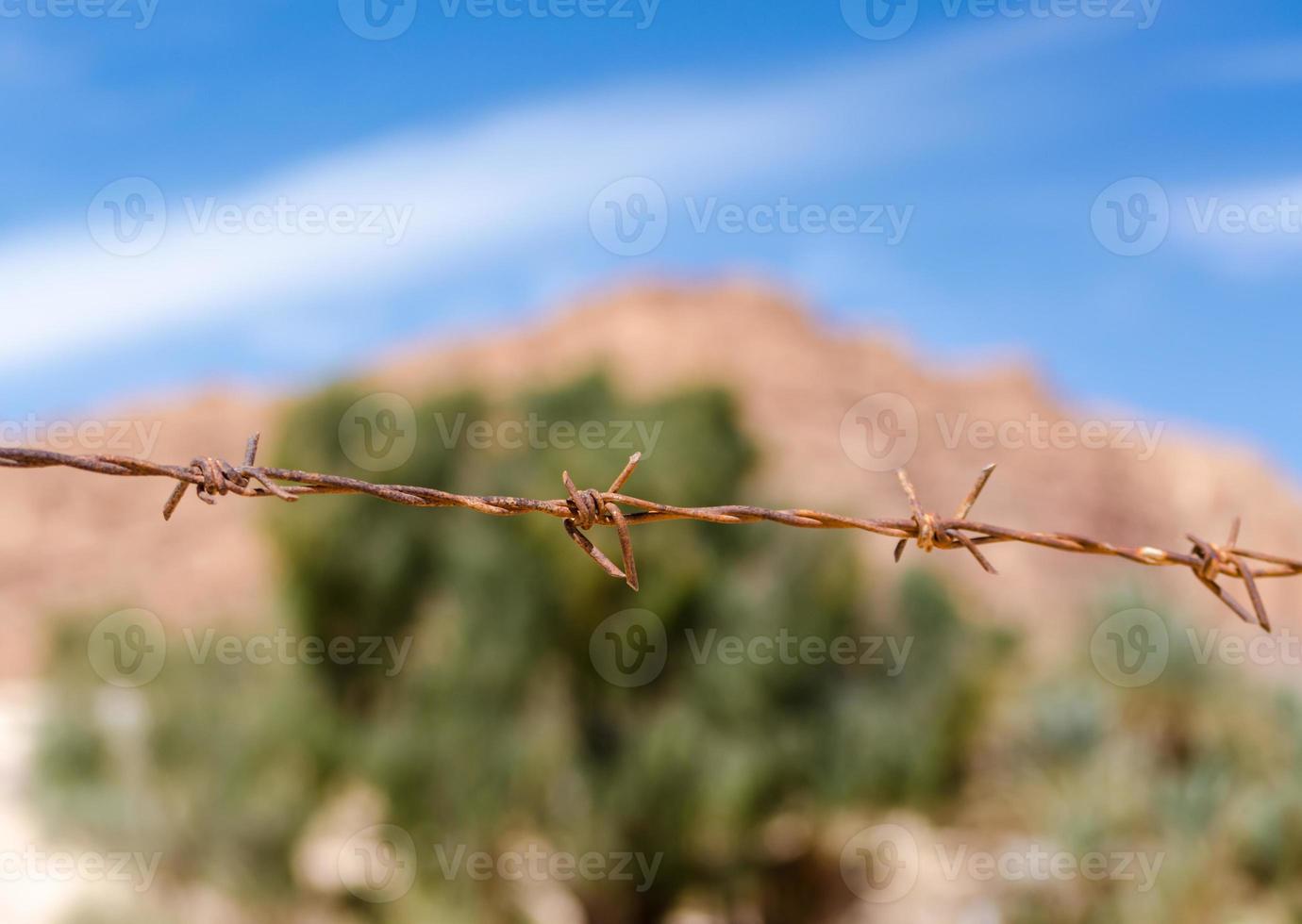 rostiger Stacheldraht foto