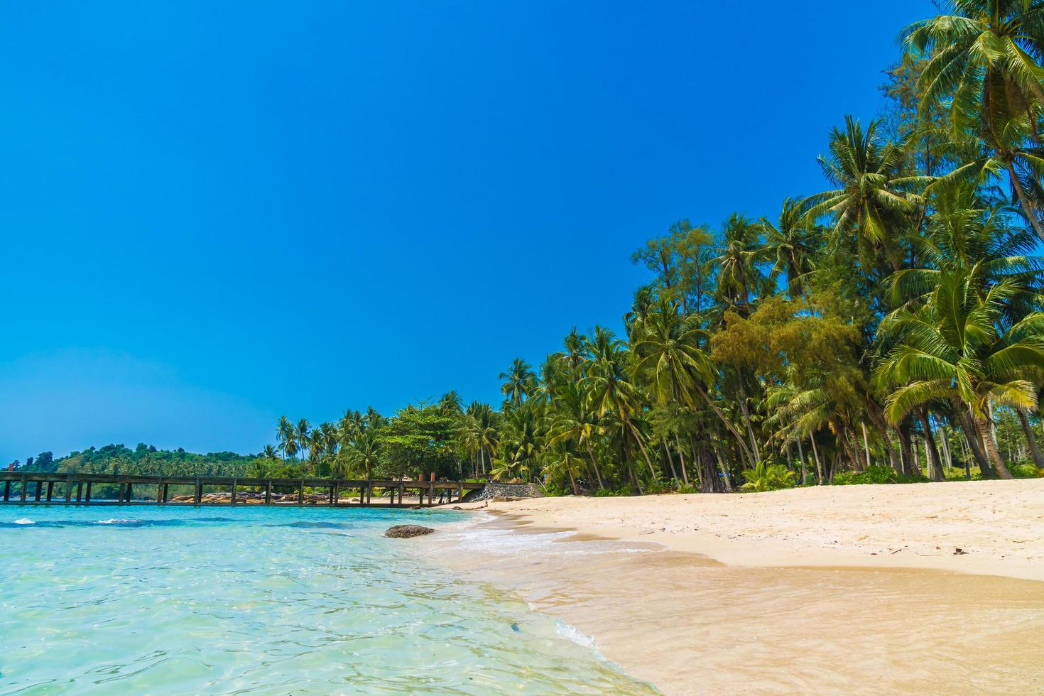 schöner tropischer Strand und Meer foto