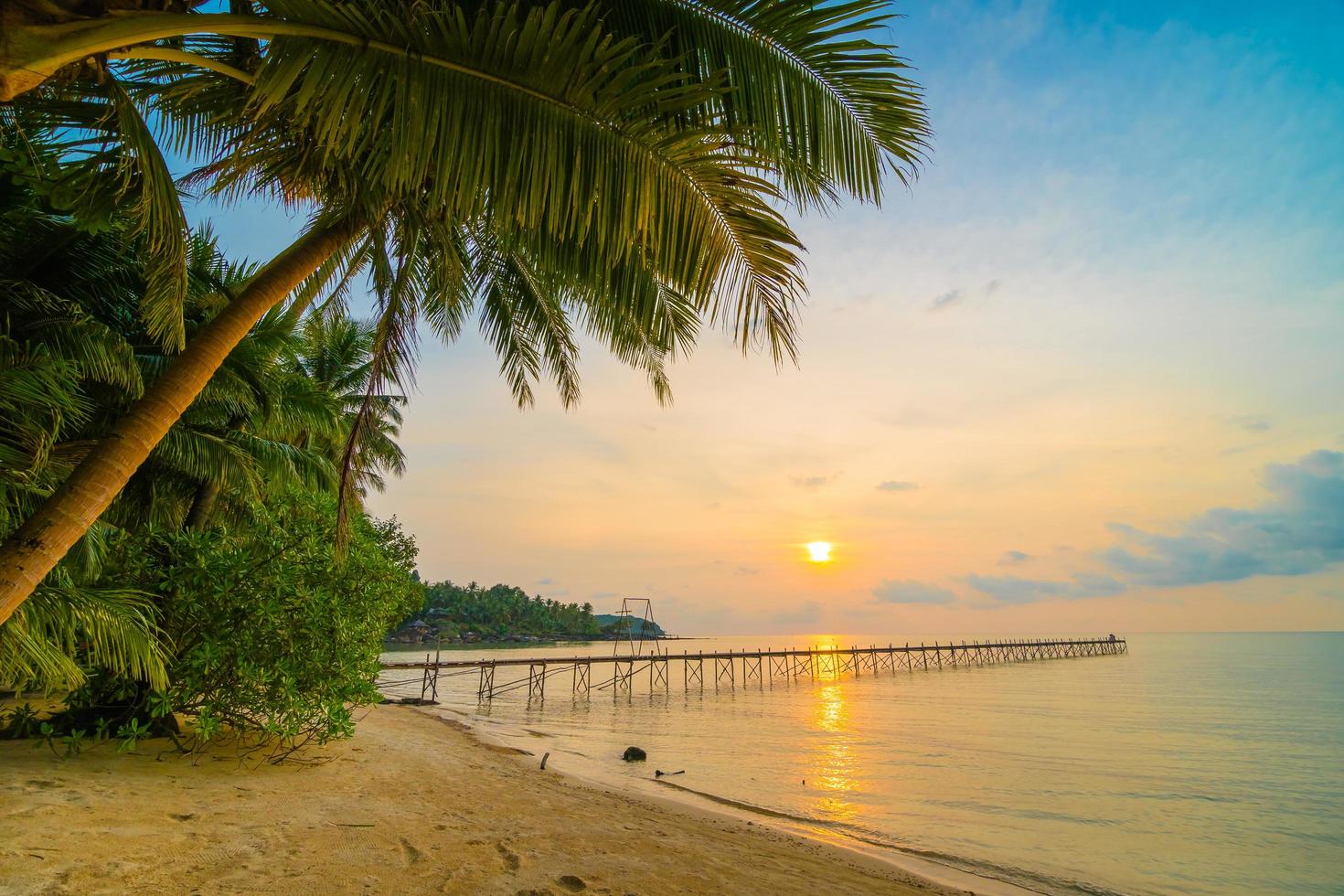 schöne Paradiesinsel mit Strand und Meer um Kokospalme foto