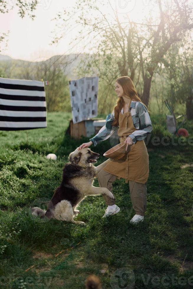 Frau streicheln ihr groß pelzig Hund An. Bauernhof im das Landschaft gegen ein Hintergrund von sauber Wäsche auf ein Seil foto