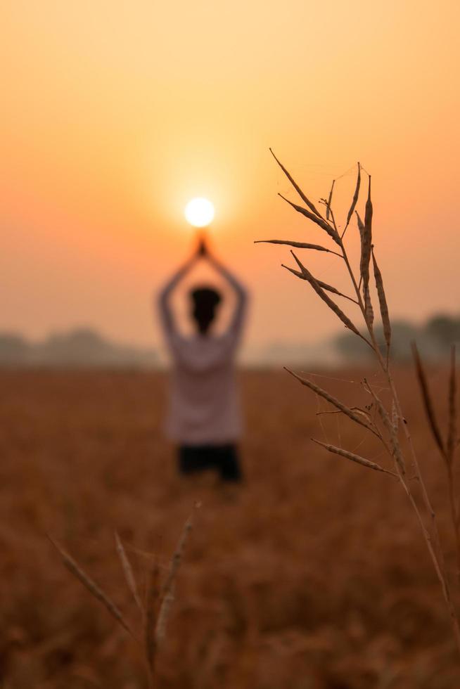 Sonnenaufgang Yoga auf dem Bauernhof foto