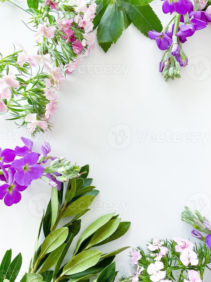 Nelke, Gerbera, Kamille, Lorbeer. Blumen- Rahmen foto