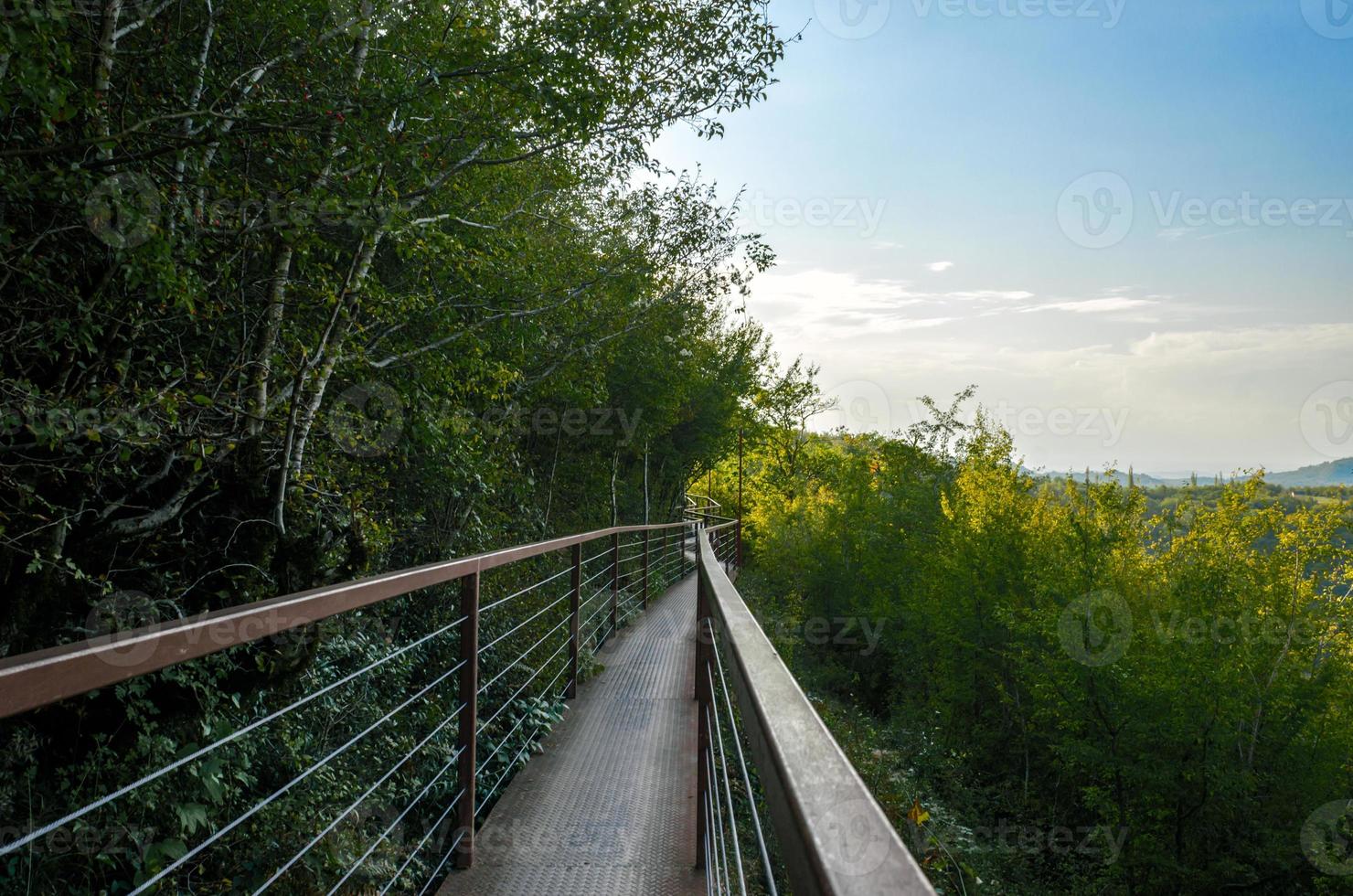 lange hängende Eisenbrücke in einer Schlucht foto