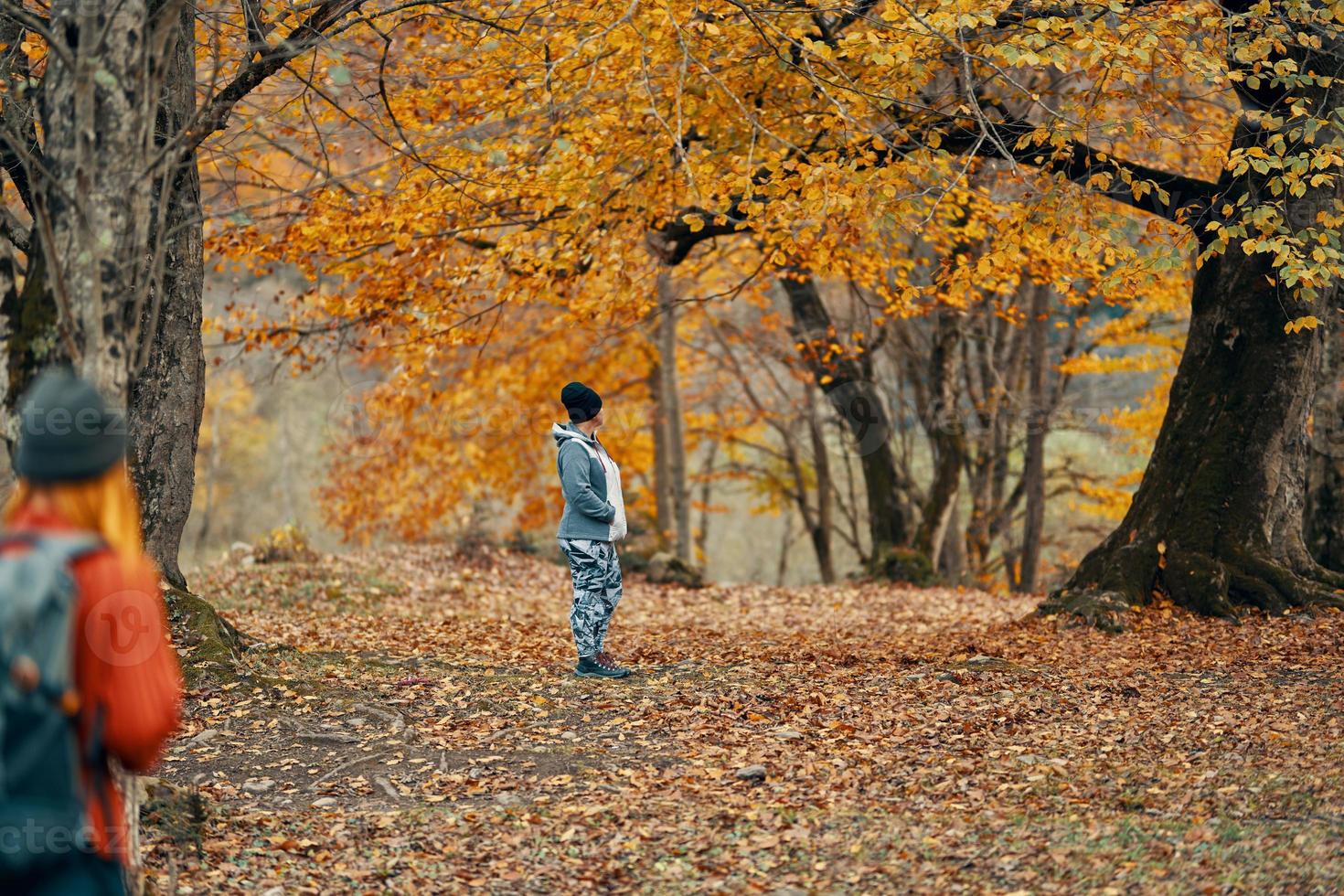 Frau mit ein Rucksack sind Gehen im das Herbst Wald im Natur Landschaft Bäume Passanten Modell- foto