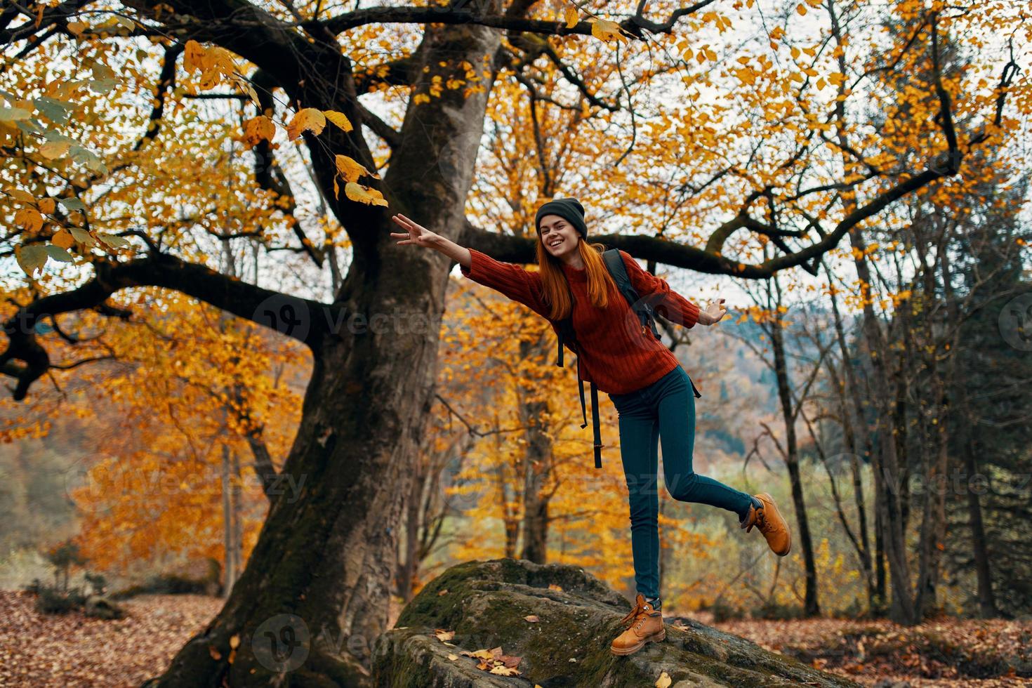 glücklich Reisender im Park in der Nähe von groß Baum Landschaft Natur Gelb Blätter Modell- Emotionen foto