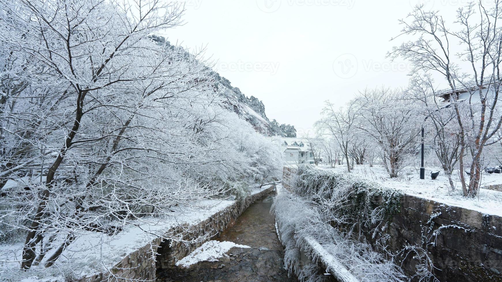 das schön gefroren Berge Aussicht bedeckt durch das Weiß Schnee und Eis im Winter foto