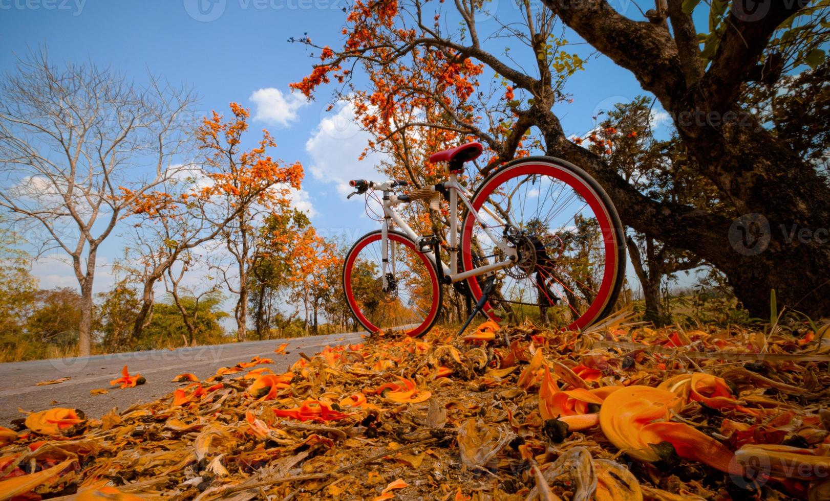 ein Fahrrad auf der Straße mit Herbstlaub geparkt foto