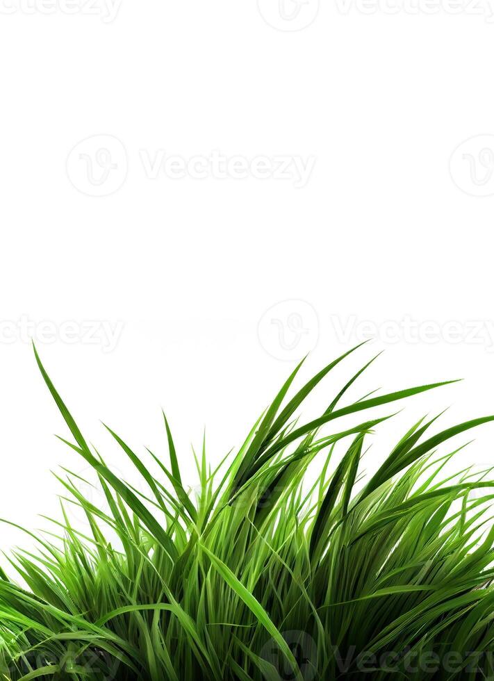 Grün Gras auf das Weiß Hintergrund, erstellt mit generativ ai foto