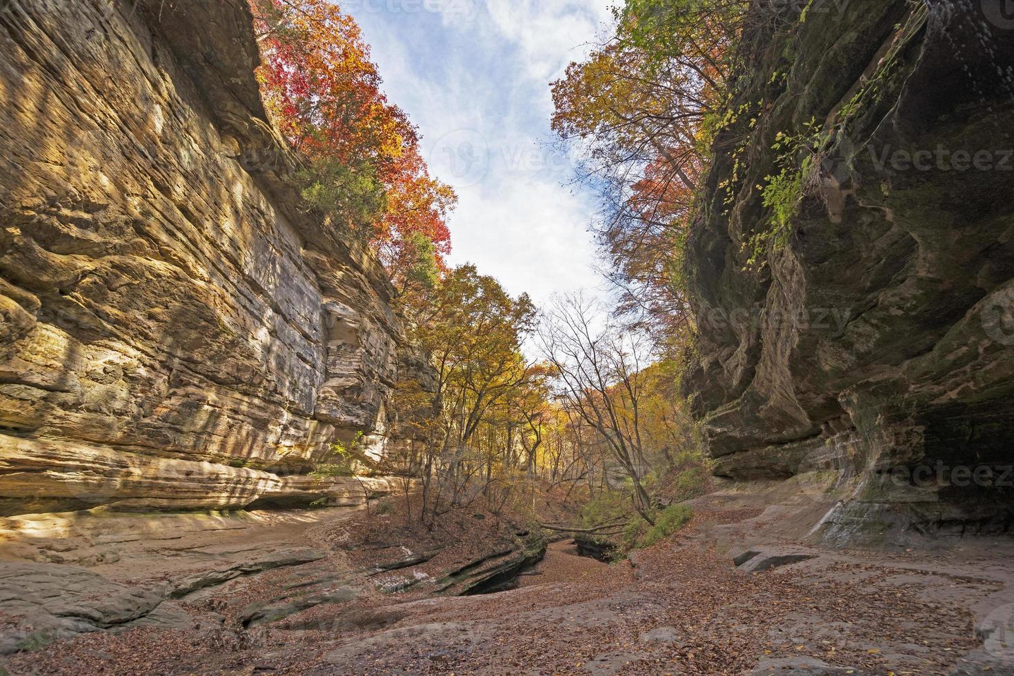 Herbst spähen Über das Kanten von ein abgelegen Schlucht foto