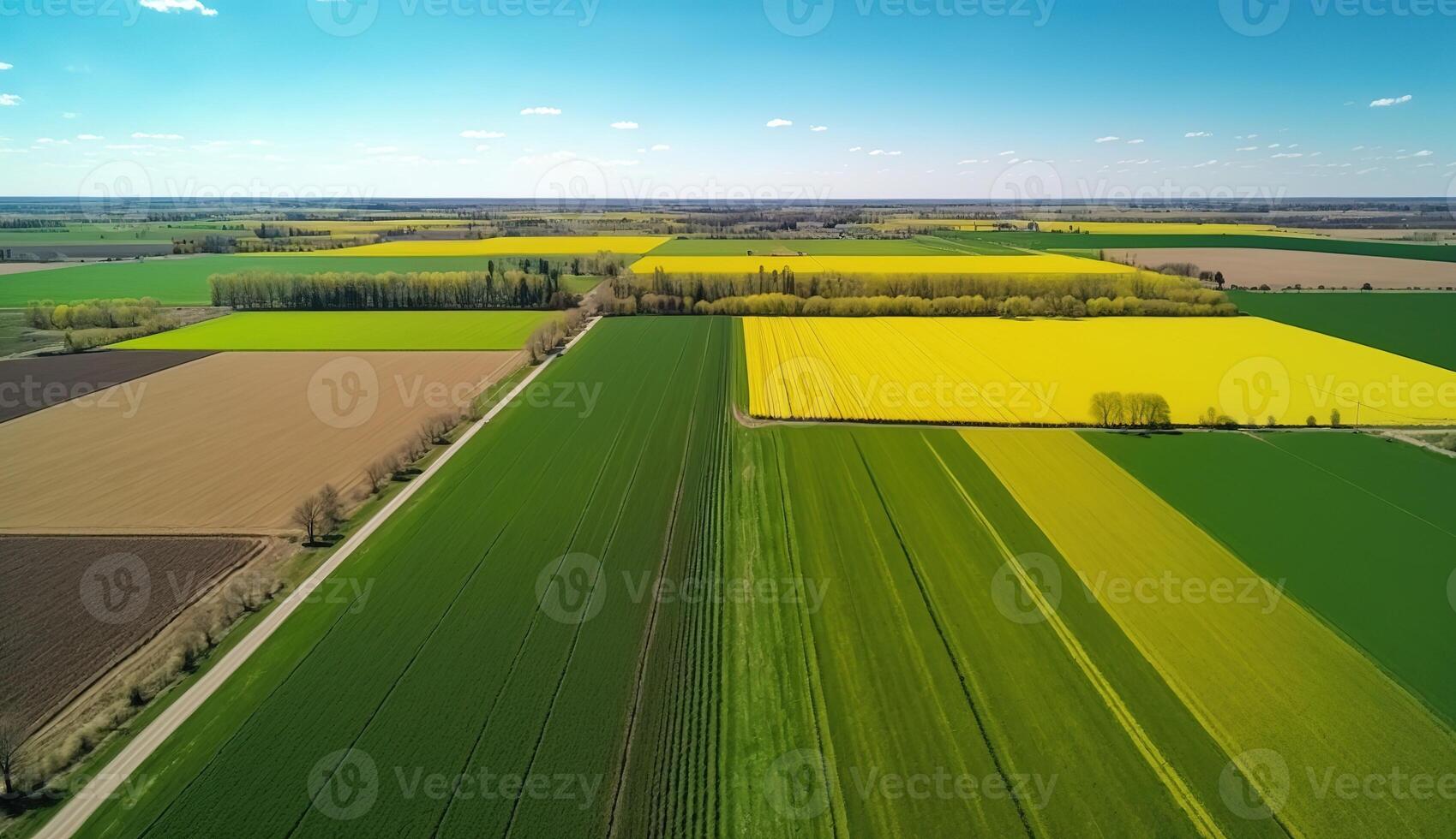 generativ ai, Bauernhof Landschaft, landwirtschaftlich Felder, schön Landschaft, Land Straße. Natur Illustration, fotorealistisch oben Aussicht Drohne, horizontal Banner. foto