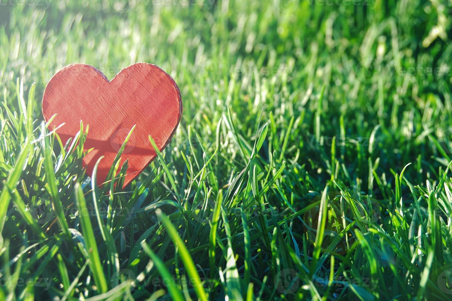 rot Papier Herz gegen Grün Gras im Sonne Fackel zum Öko Design foto