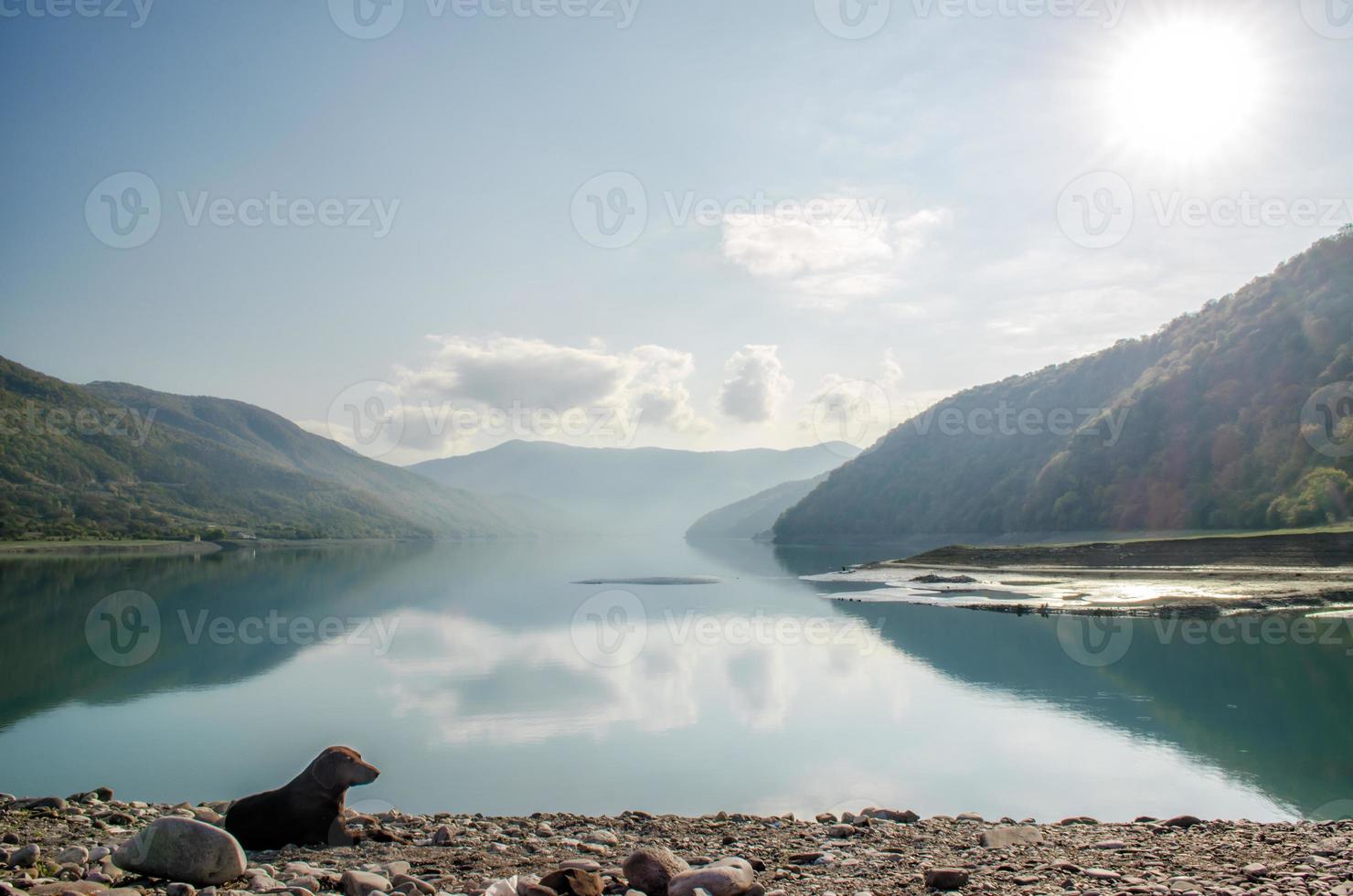 Hund, der neben einem See in Georgien liegt foto