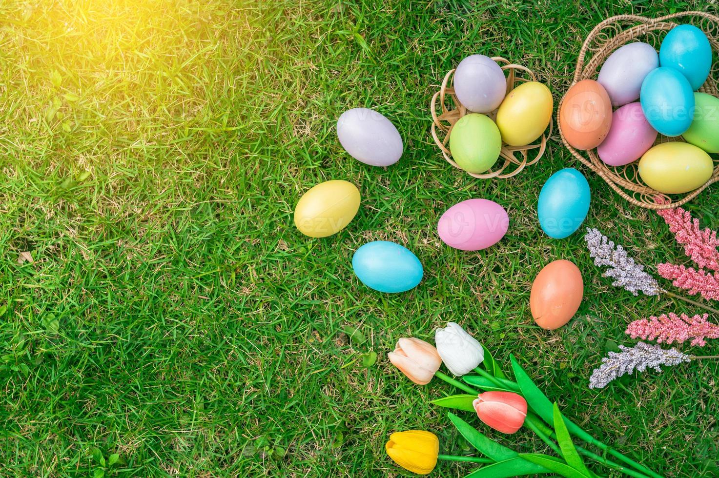 glücklich Ostern Urlaub Gruß Karte Konzept. bunt Ostern Eier und Frühling Blumen auf Grün Gräser Hintergrund. eben legen, oben Sicht, Kopieren Raum. foto