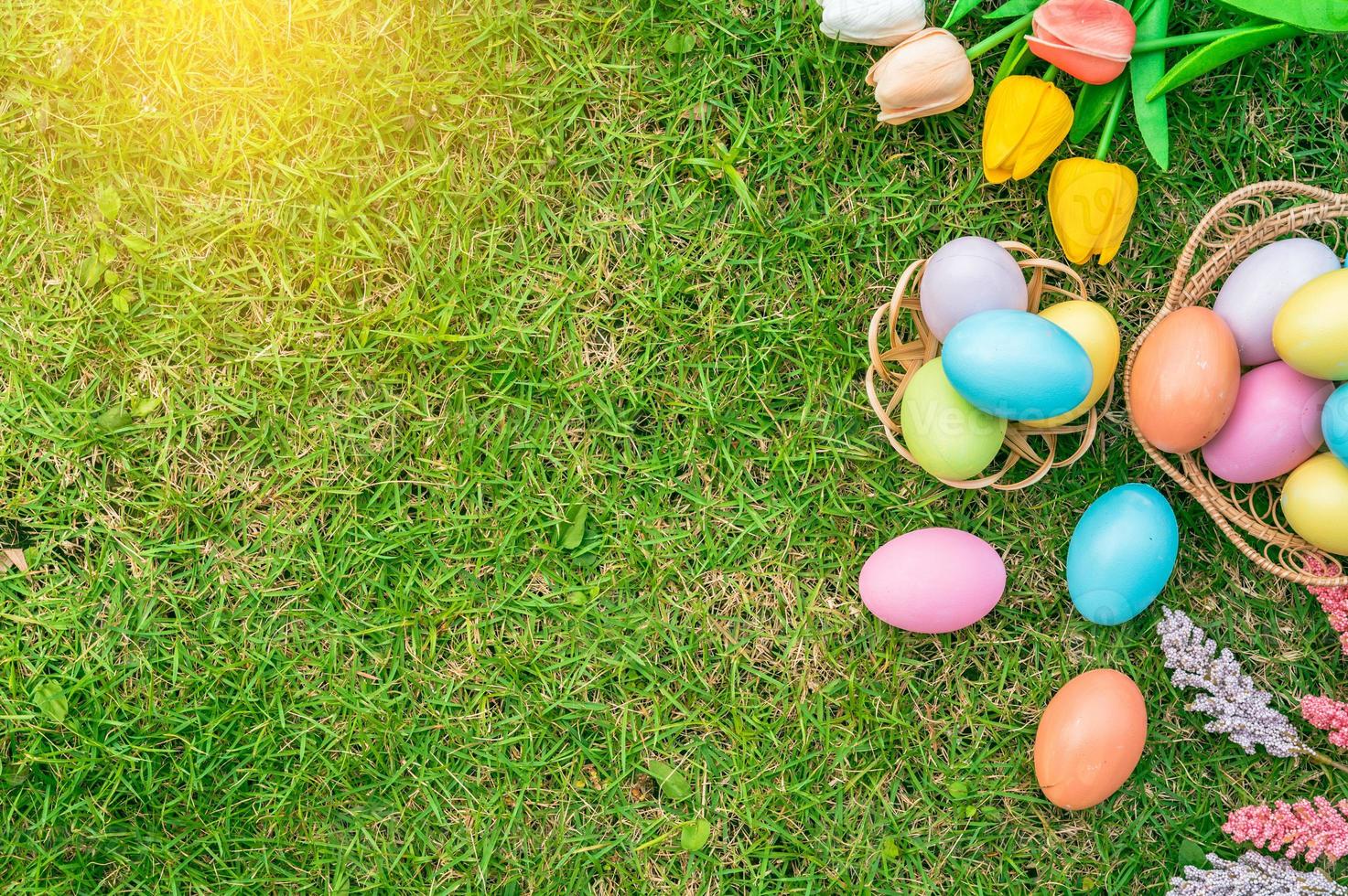 glücklich Ostern Urlaub Gruß Karte Konzept. bunt Ostern Eier und Frühling Blumen auf Grün Gräser Hintergrund. eben legen, oben Sicht, Kopieren Raum. foto