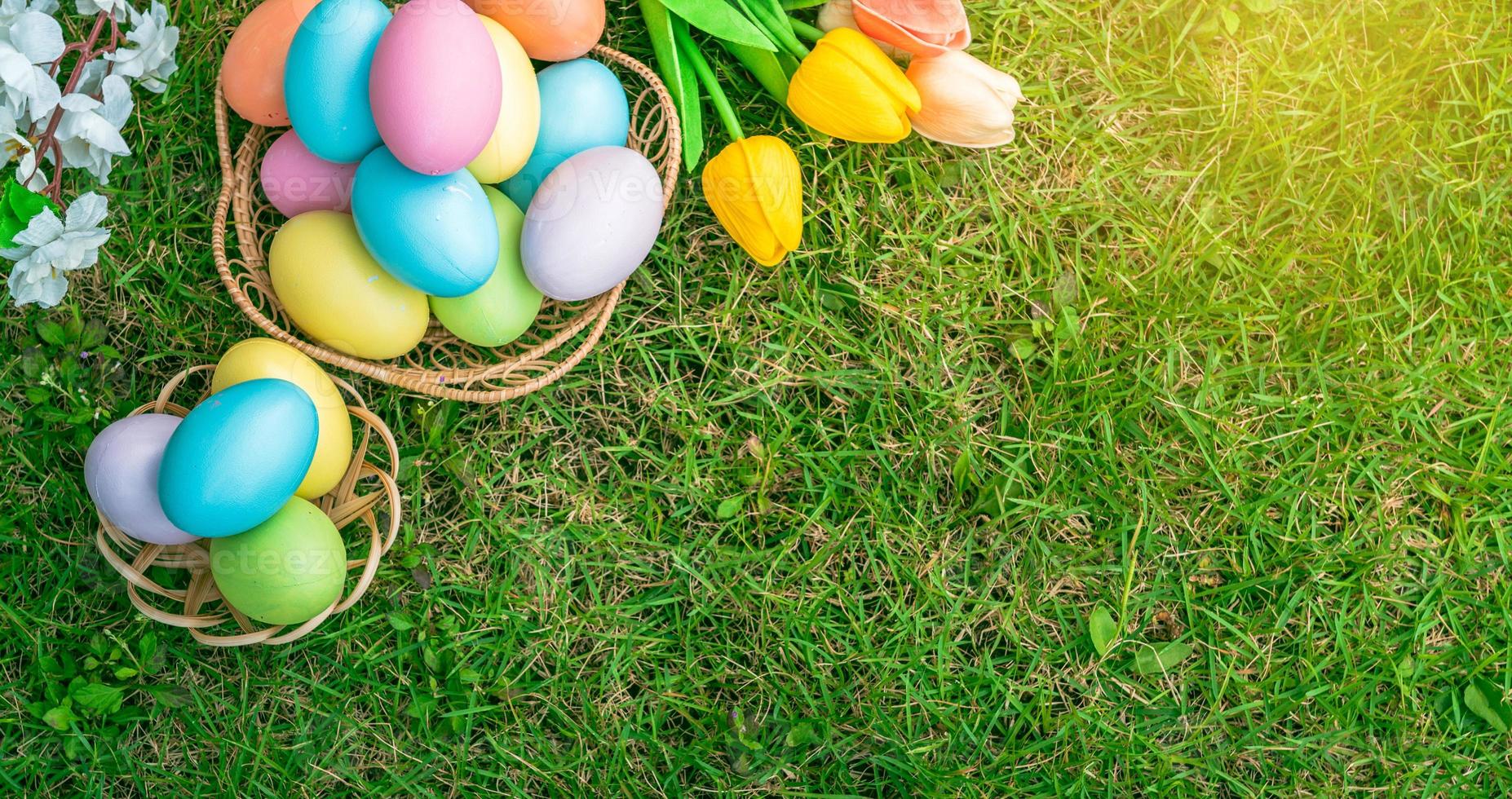 glücklich Ostern Urlaub Gruß Karte Konzept. bunt Ostern Eier und Frühling Blumen auf Grün Gräser Hintergrund. eben legen, oben Sicht, Kopieren Raum. foto