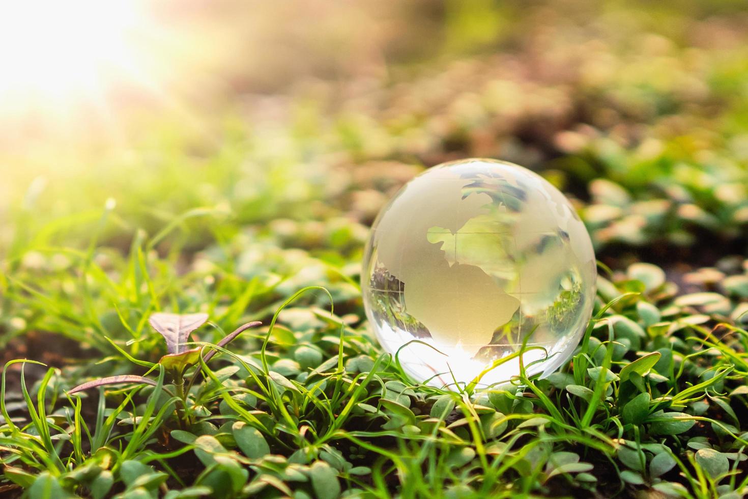 Globus Glas auf Grün Gras mit Sonnenschein Hintergrund. Umgebung Konzept foto
