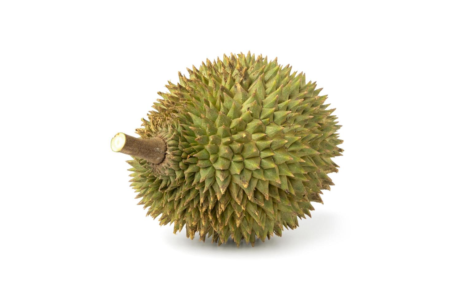 frisch Grün Durian isolieren auf Weiß Hintergrund foto