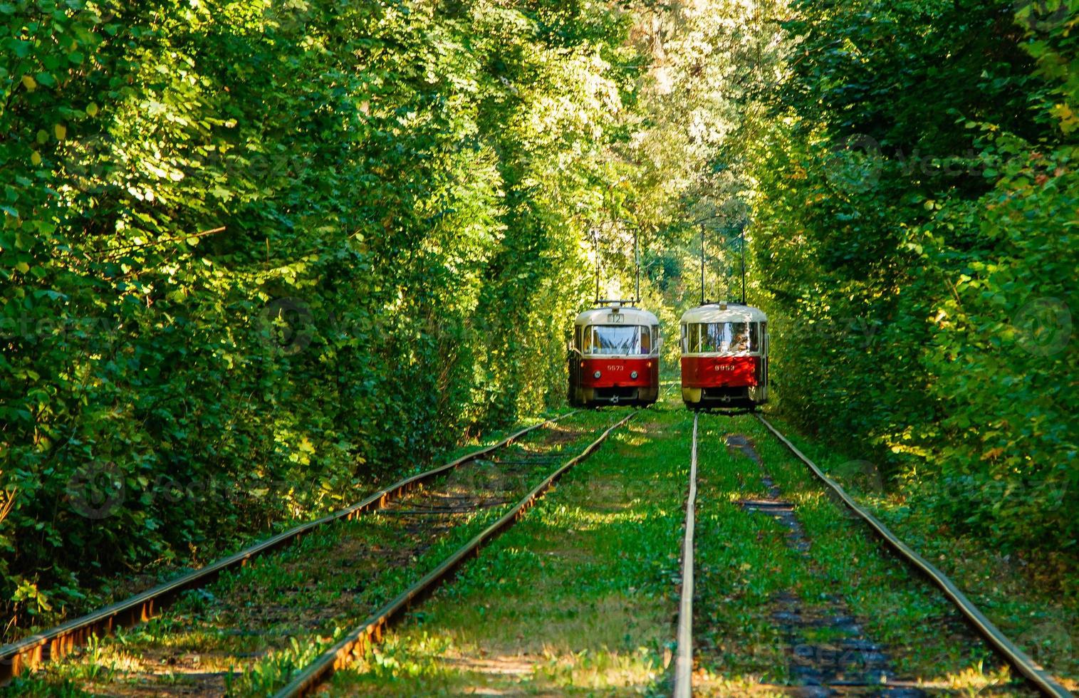 straßenbahn- und straßenbahnschienen im bunten wald foto