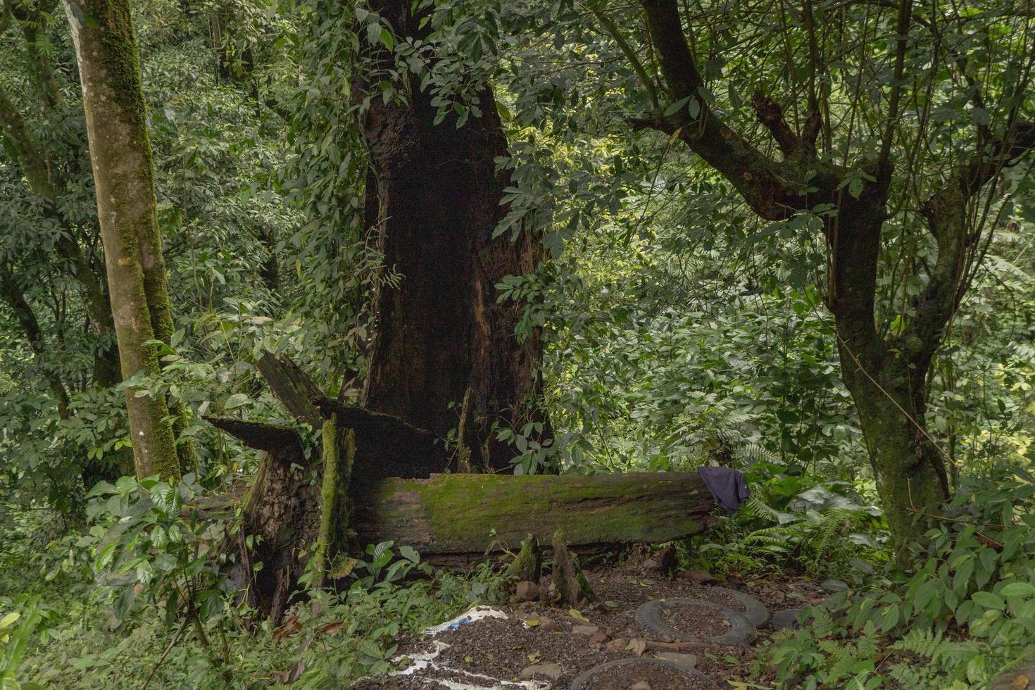 das Weg gehen zu Wasser fallen auf das Regen Wald. das Foto ist geeignet zu verwenden zum Abenteuer Inhalt Medien, Natur Poster und Wald Hintergrund.