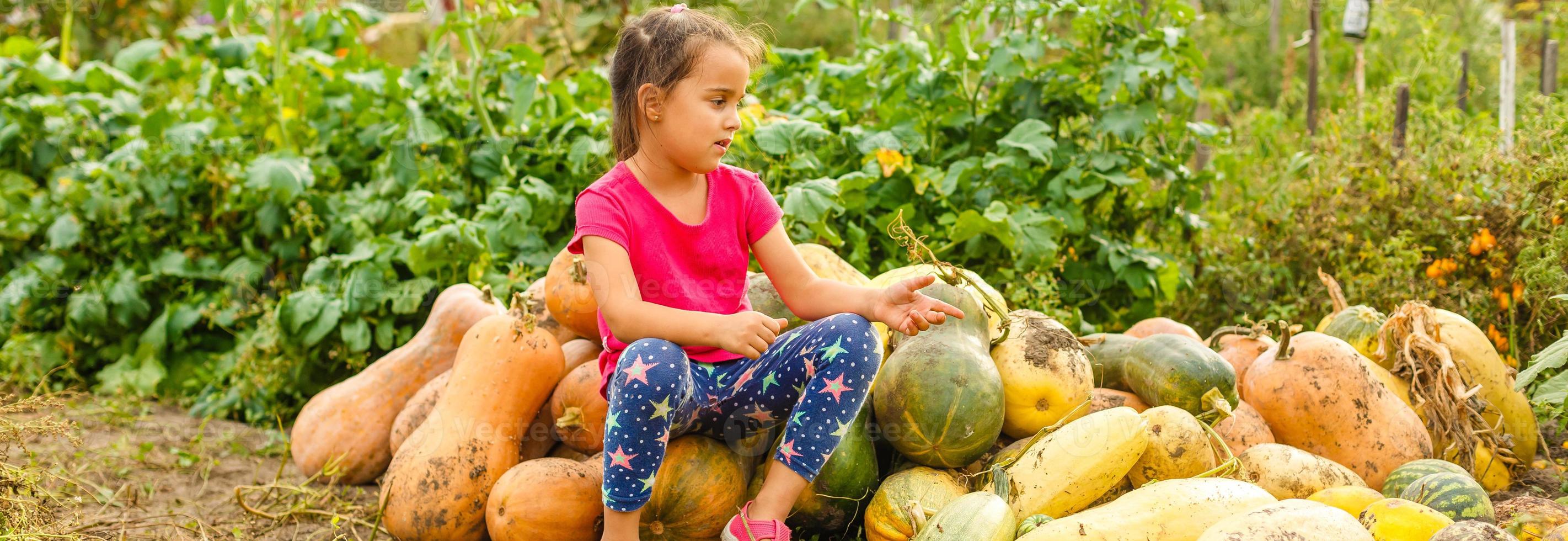 kleines Mädchen, das Kürbisse auf Halloween-Kürbisbeet pflückt. Kind spielt auf dem Gebiet des Kürbisses. Kinder pflücken reifes Gemüse auf einem Bauernhof in der Thanksgiving-Ferienzeit. Familie mit Kindern, die Spaß im Herbst haben foto