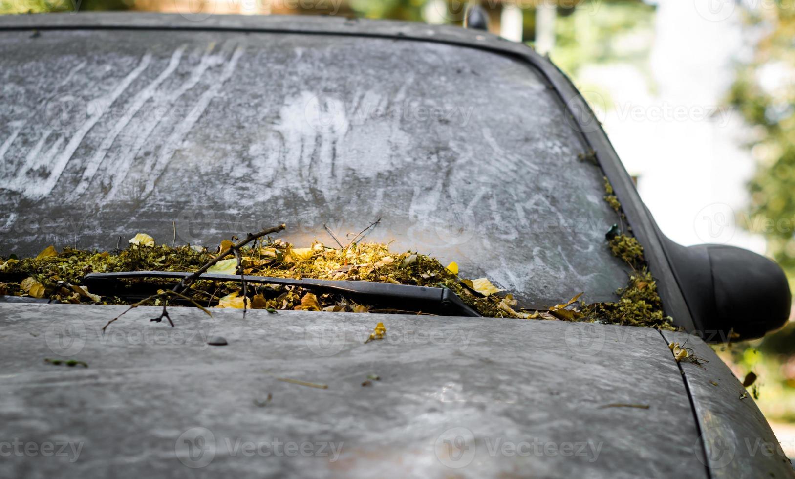 verlassenes Auto mit Blättern bedeckt foto