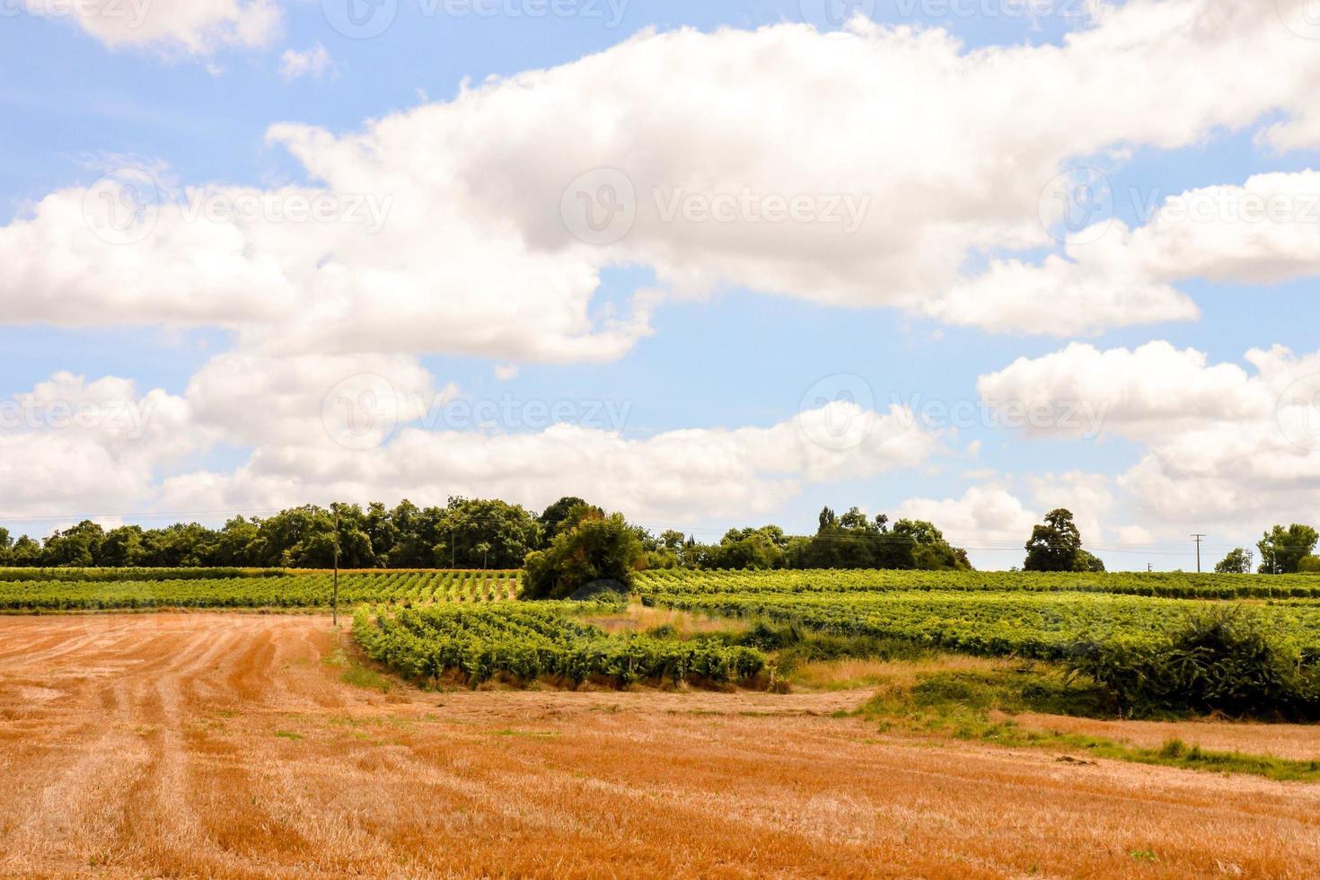 szenisch ländlich Landschaft foto