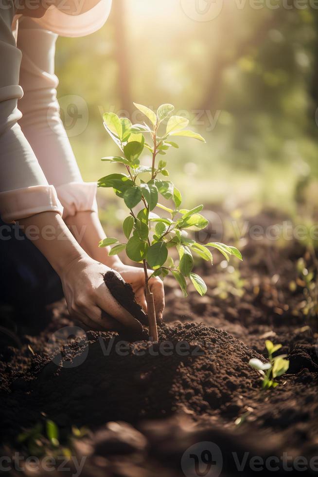 Pflanzen Bäume zum ein nachhaltig Zukunft. Gemeinschaft Garten und Umwelt Erhaltung - - fördern Lebensraum Wiederherstellung und Gemeinschaft Engagement auf Erde Tag foto