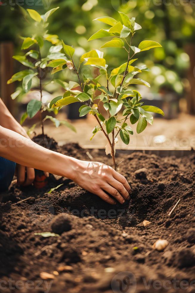 Pflanzen Bäume zum ein nachhaltig Zukunft. Gemeinschaft Garten und Umwelt Erhaltung - - fördern Lebensraum Wiederherstellung und Gemeinschaft Engagement auf Erde Tag foto