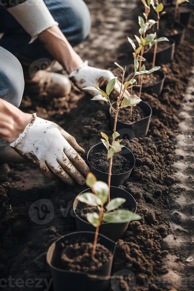 Pflanzen Bäume zum ein nachhaltig Zukunft. Gemeinschaft Garten und Umwelt Erhaltung - - fördern Lebensraum Wiederherstellung und Gemeinschaft Engagement auf Erde Tag foto