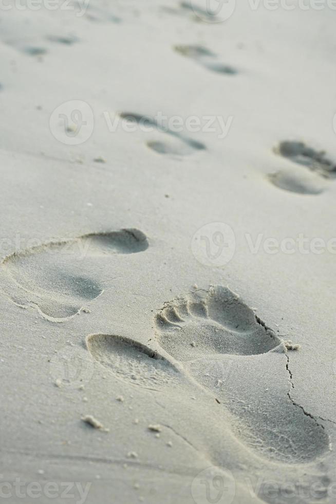 Nahansicht Fußabdrücke im das Sand foto