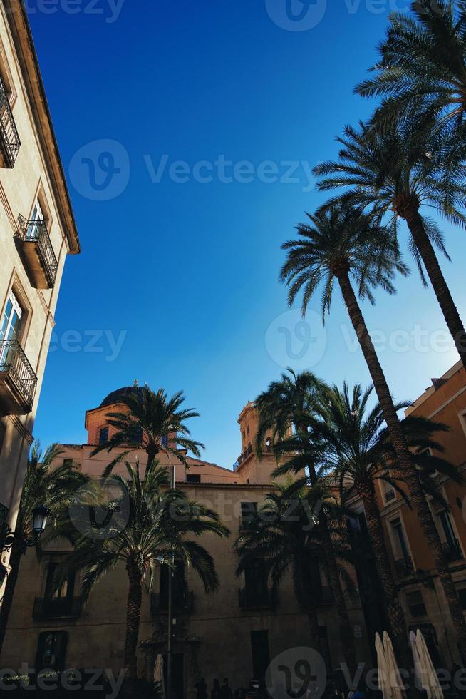Reihenhäuser mit Palme Bäume im das Stadt von alicante Spanien gegen das Himmel foto