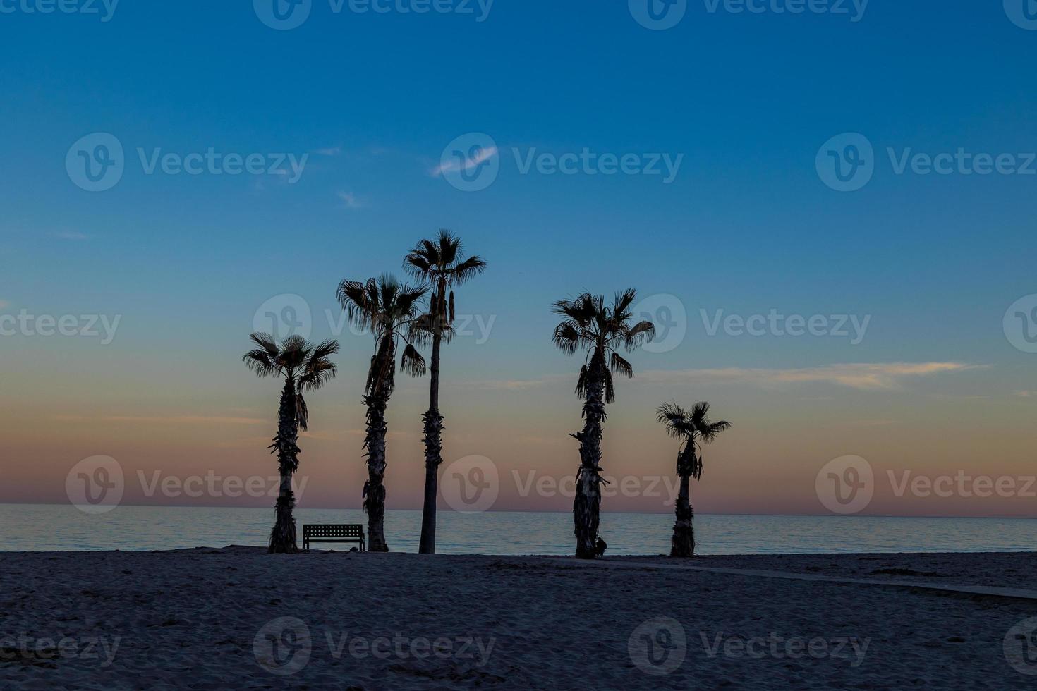 Strand Landschaft Frieden und ruhig Sonnenuntergang und vier Palme Bäume auf das Strand und ein Bank foto