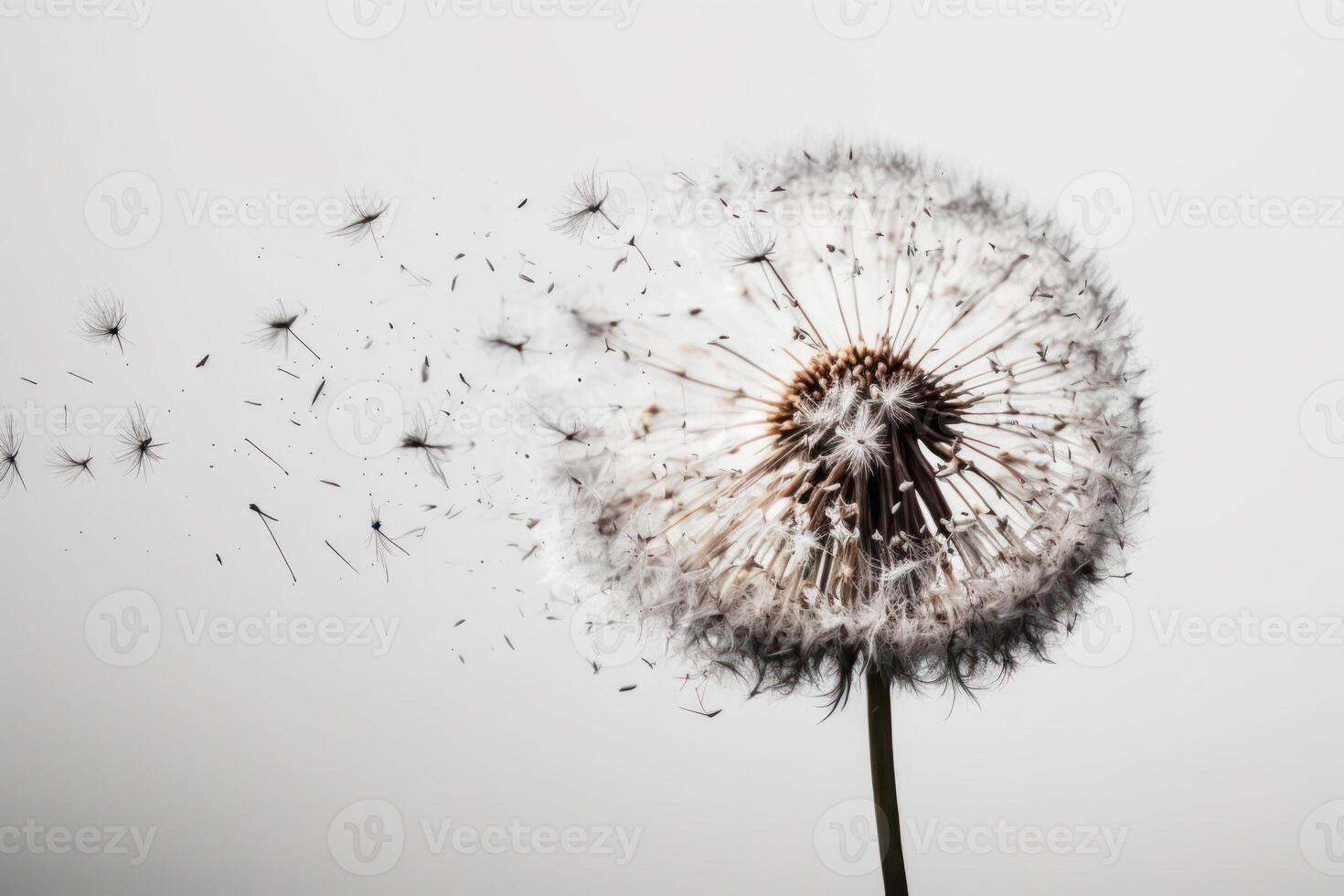 fliegend Löwenzahn Makro generativ ai foto